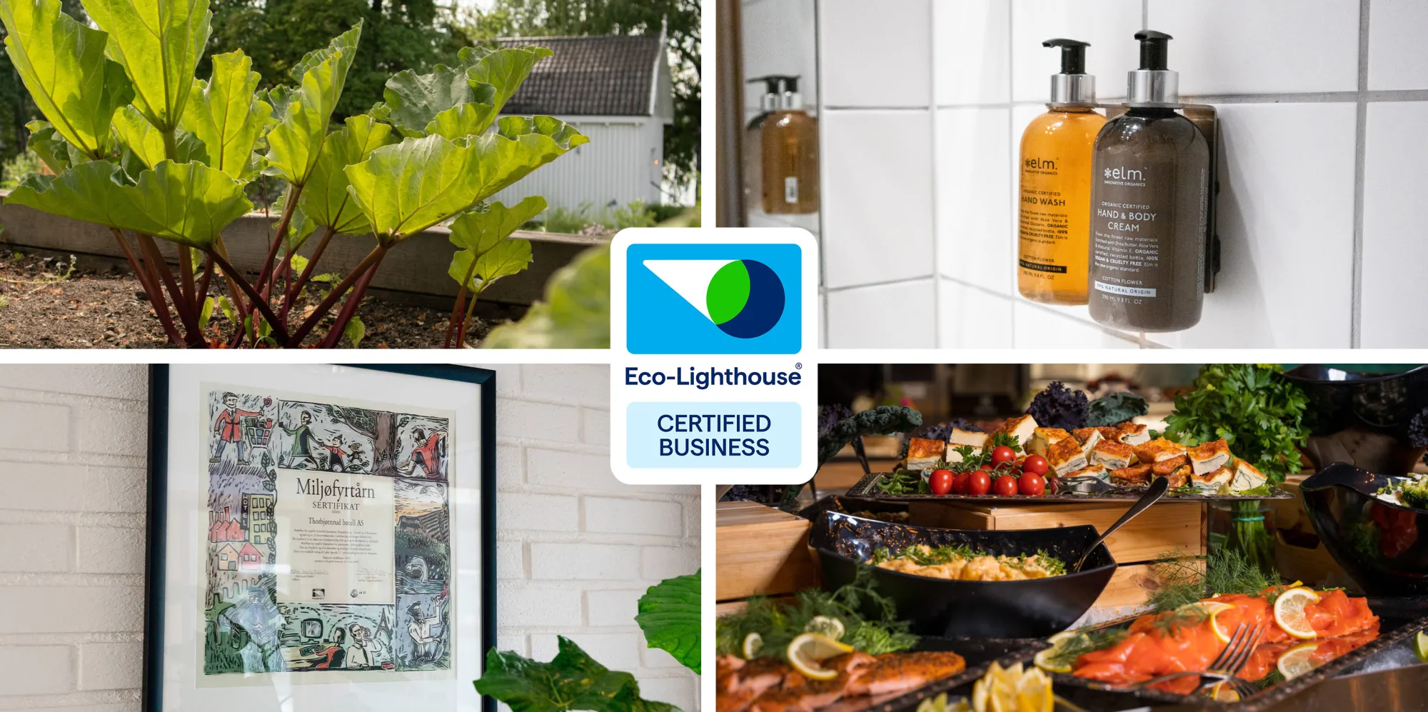 Eco-Lighthouse