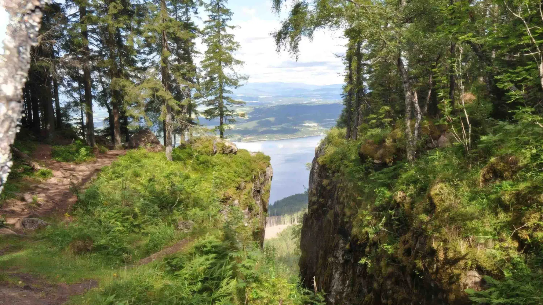 Mørkgonga og Gyrihaugen