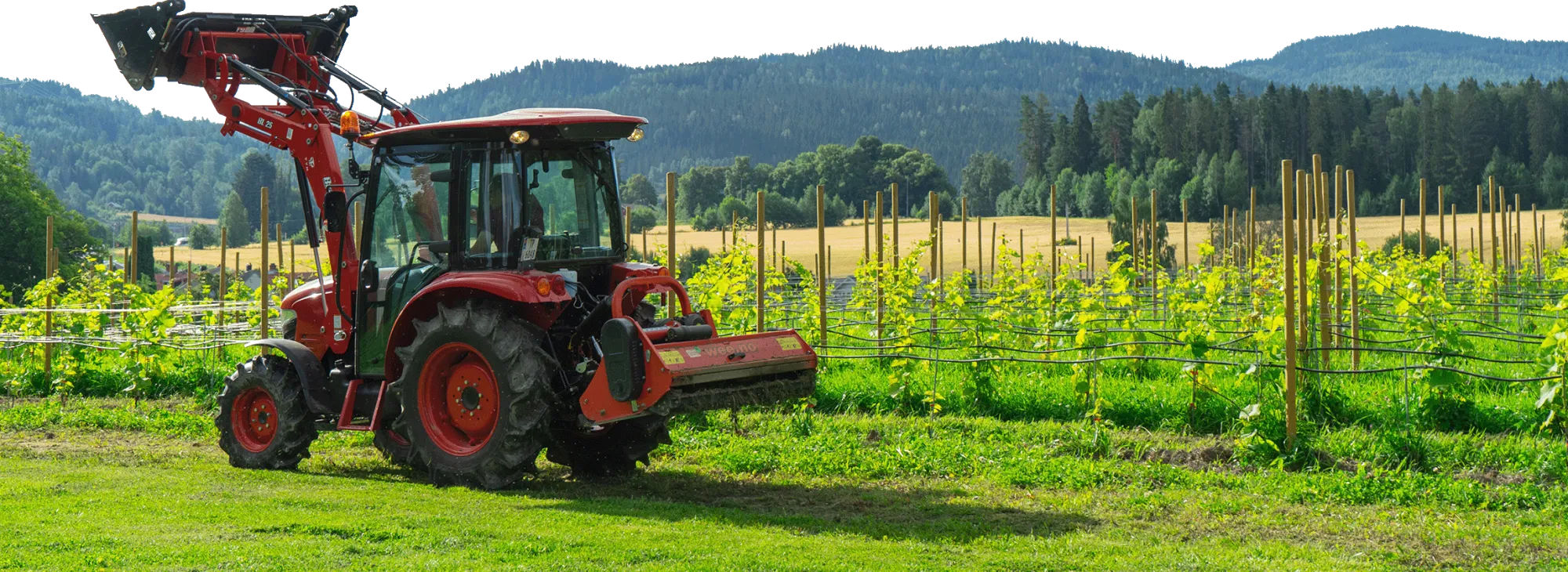Traktor står parkert utenfor vinrankene
