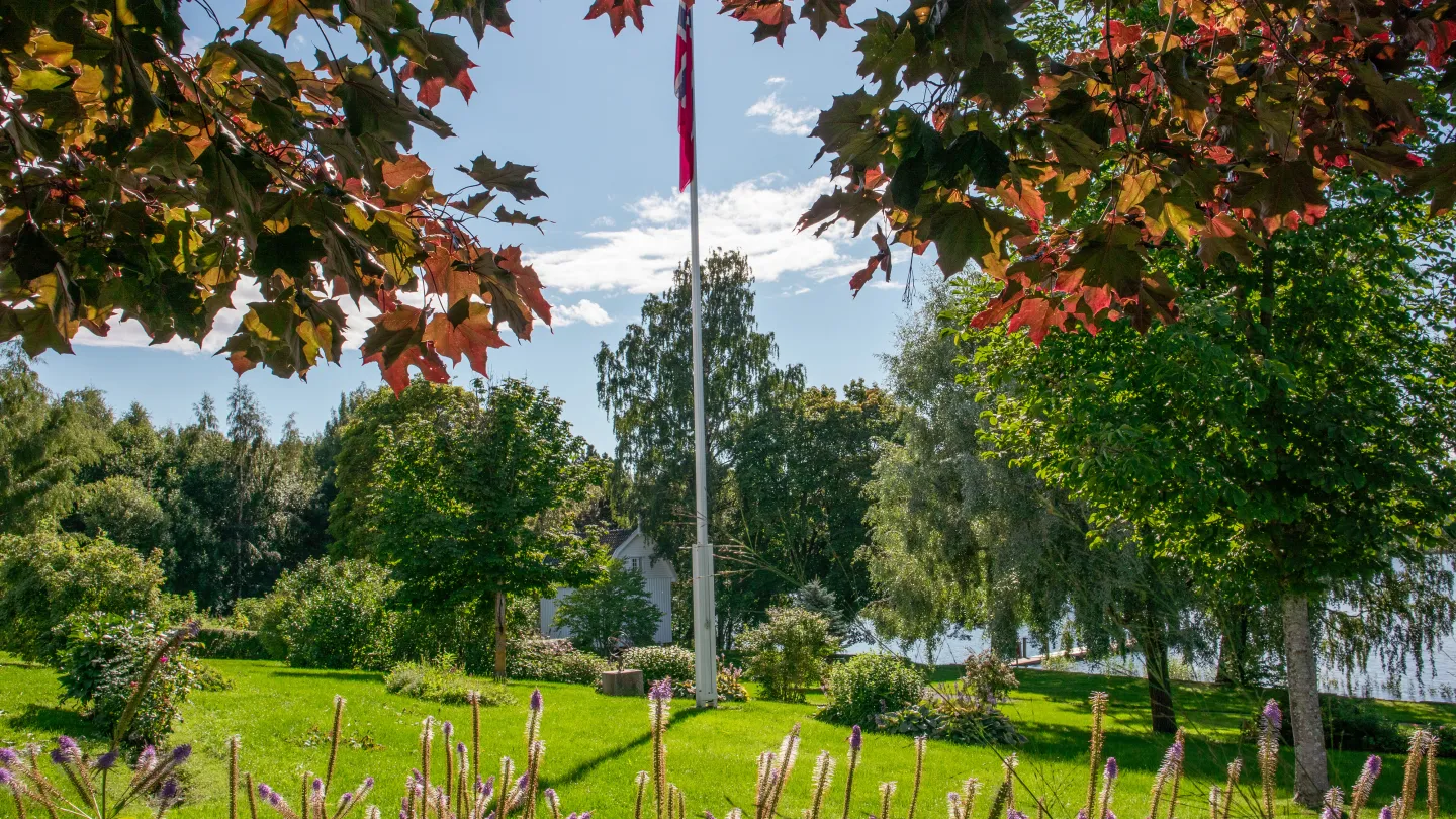 Hagen i sommer/høst