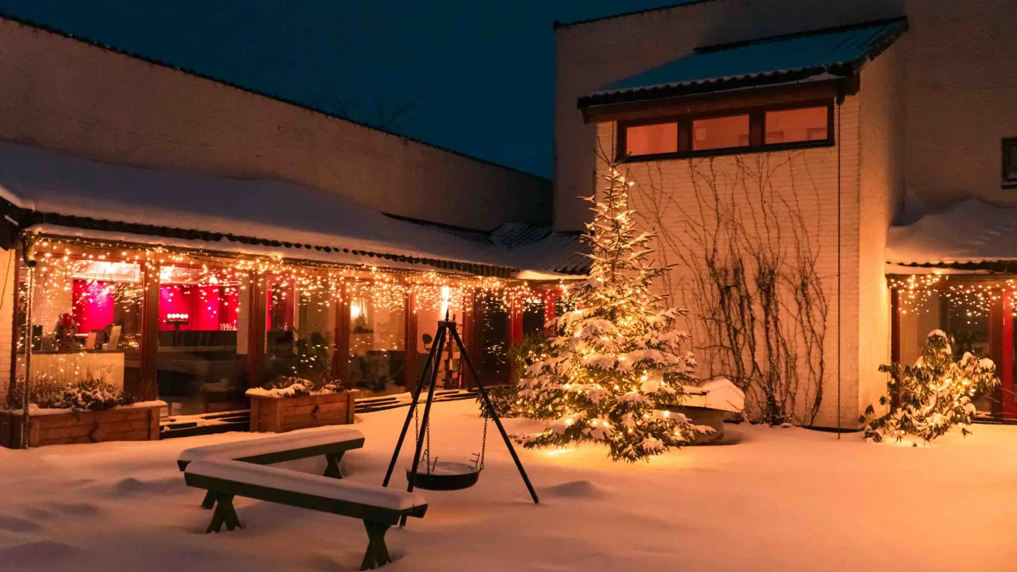 Thorbjørnrud i vinter